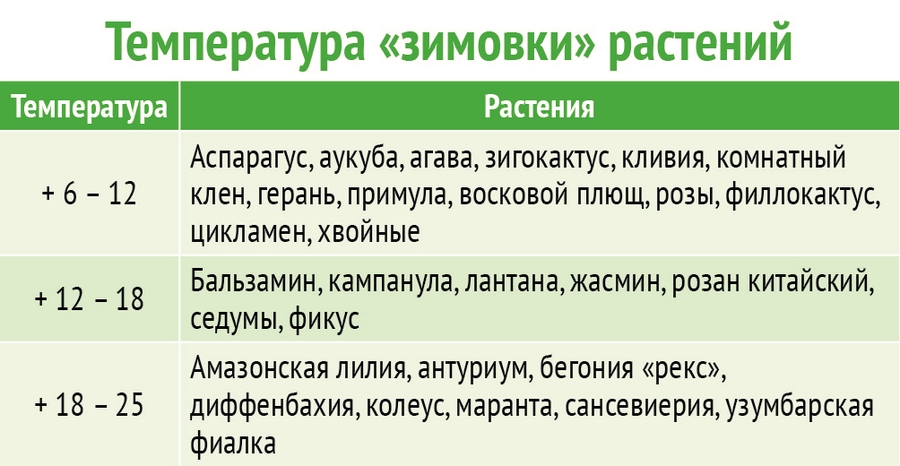 При какой температуре хранить цветы. Минимальная температура для комнатных растений. Минимальная температура для комнатных цветов. Оптимальная температура для комнатных цветов. Оптимальная температура для комнатных растений.