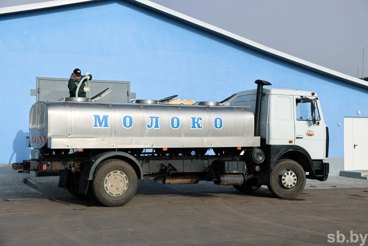 Производство молока в Брестской области за последние 10 лет выросло на 900  тысяч тонн