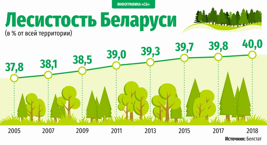 Что такое лесистость территории. Лесистость Беларуси. Процент лесистости. Определить лесистость территории. Лесистость территории России.