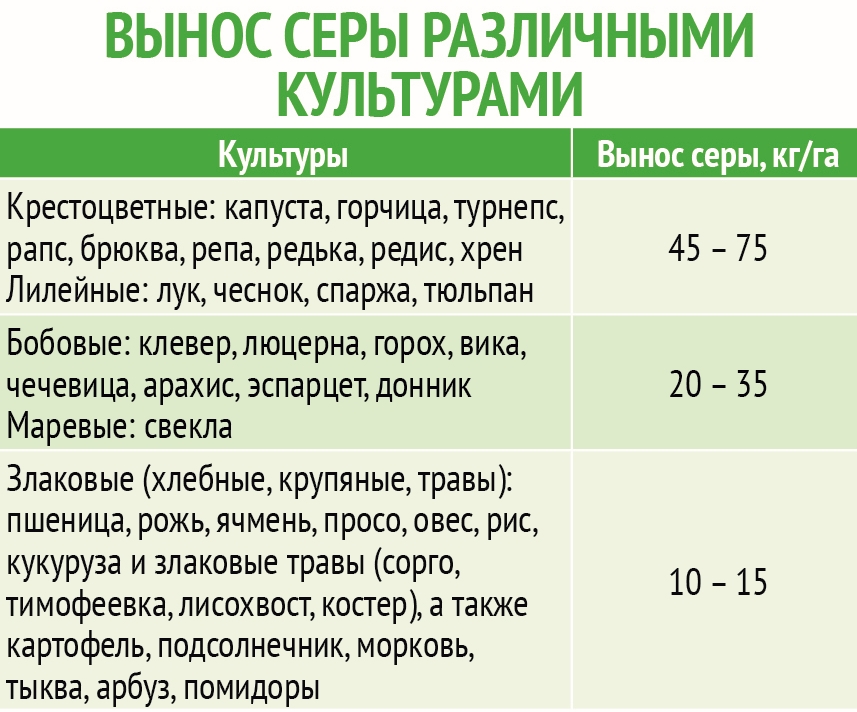 Каким цветам нужна сера. Избыток и недостаток серы. Признаки избытка серы. Избыток серы в организме. Симптомы избытка серы в организме человека.