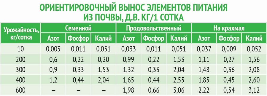 Сколько длится вегетационный период. Период вегетации картофеля. Фазы вегетации картофеля. Вегетативный период картофеля. Вегетационный цикл картофеля.