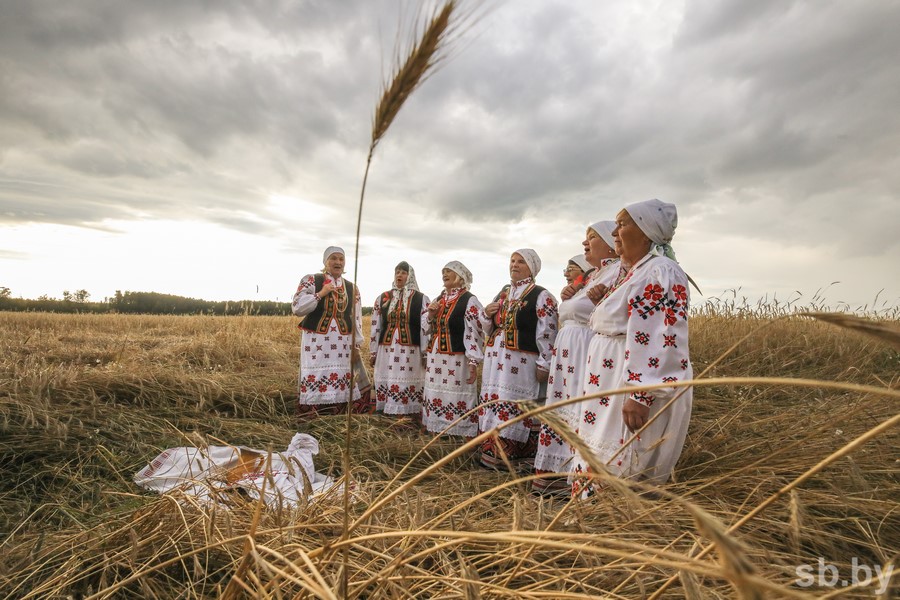 Начало жатвы в старину называли зажинки заверши рисунок