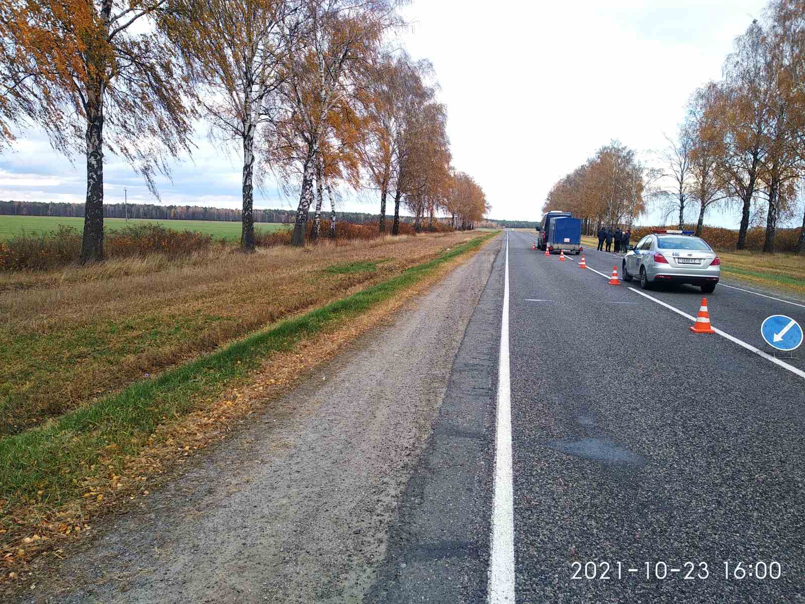 Дорожно гомель. Гомель дороги. Автомобильные дороги Гомельской области. Лельчицкий район Гомельской области. Курчатов Гомель дорога.