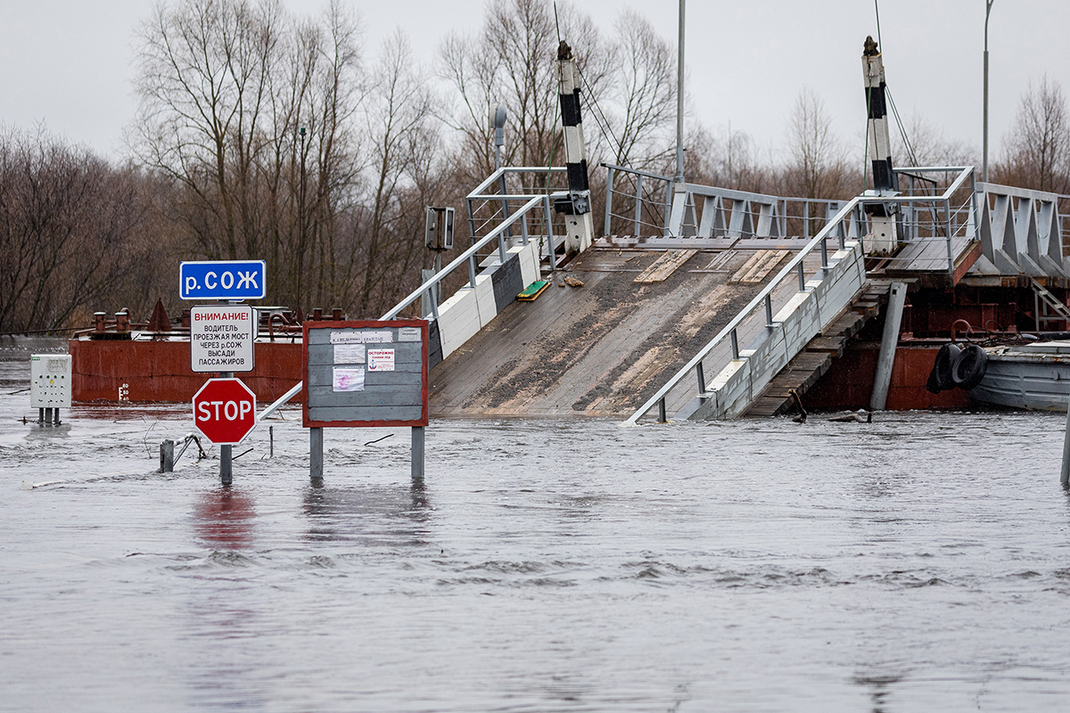 В Кормянском районе уровень воды в Соже бьет все рекорды