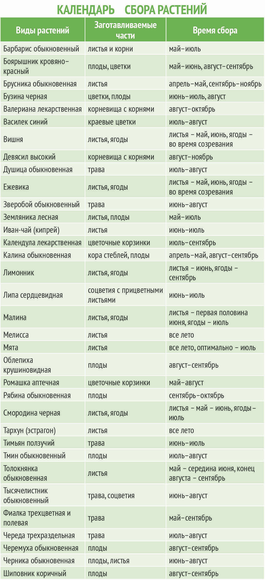 Собираю какое время. Таблица сбора лекарственных растений. Таблица сбора чайных трав. Календарь сбора лекарственных растений. Календарь сбора лекарственных растений по месяцам.