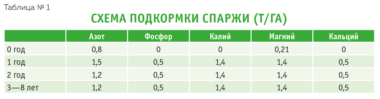 Схема посадки спаржи