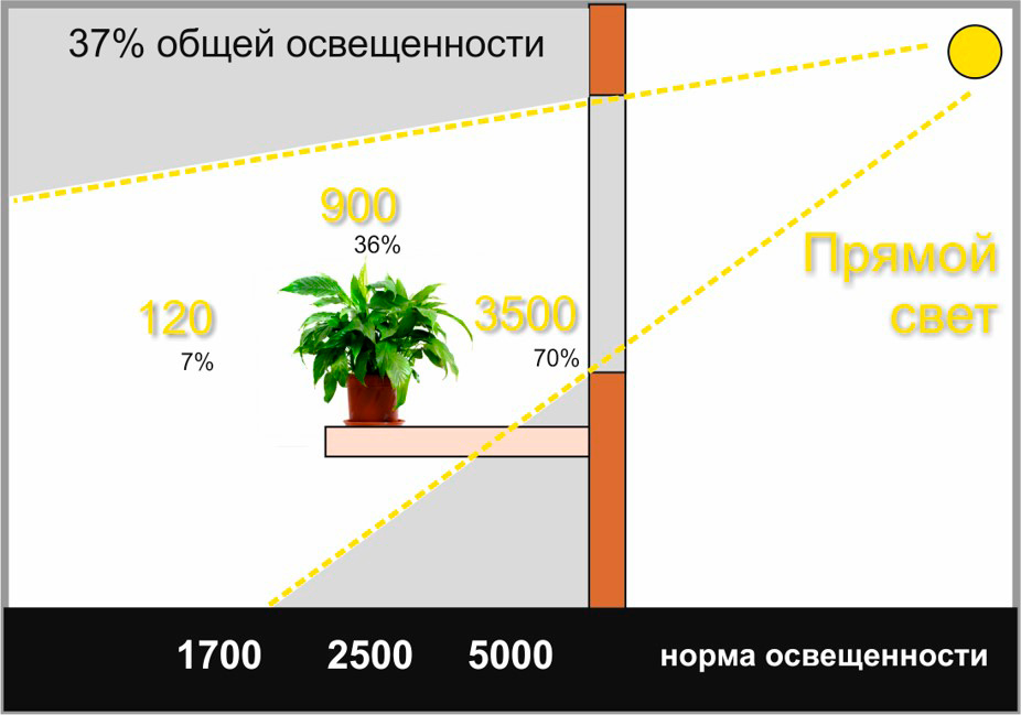 Сколько надо подсвечивать. Уровень освещения для растений. Свет для растений в люксах. Таблица света для растений. Таблица освещения для растений.