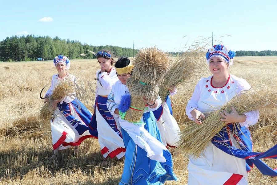 Начало жатвы в старину называли зажинки заверши рисунок