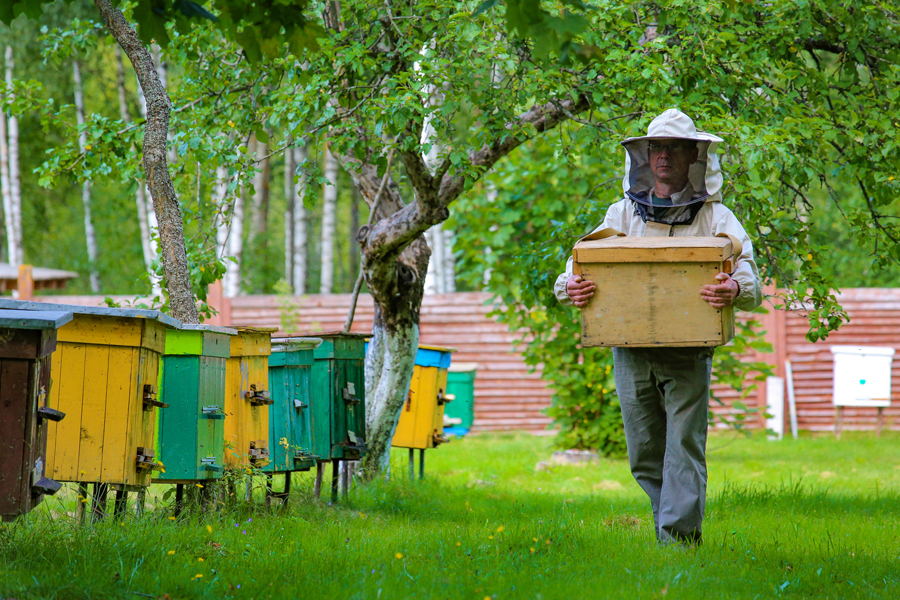 Все книги - Книги по пчеловодству - Пчеловодство: оборудование и инвентарь.