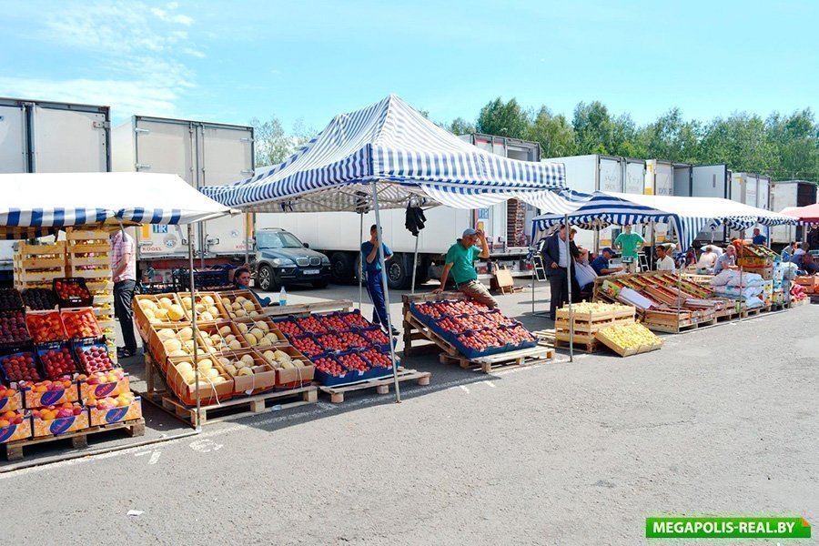 Рынок ждановичи в минске