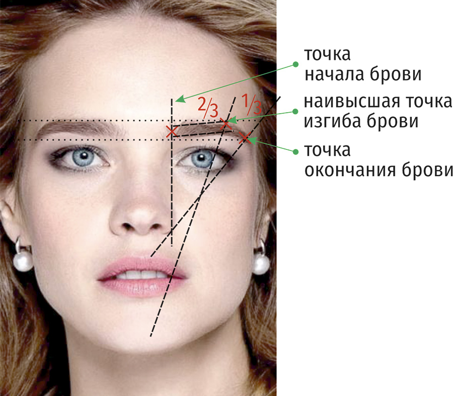 Правильная форма бровей схема фото