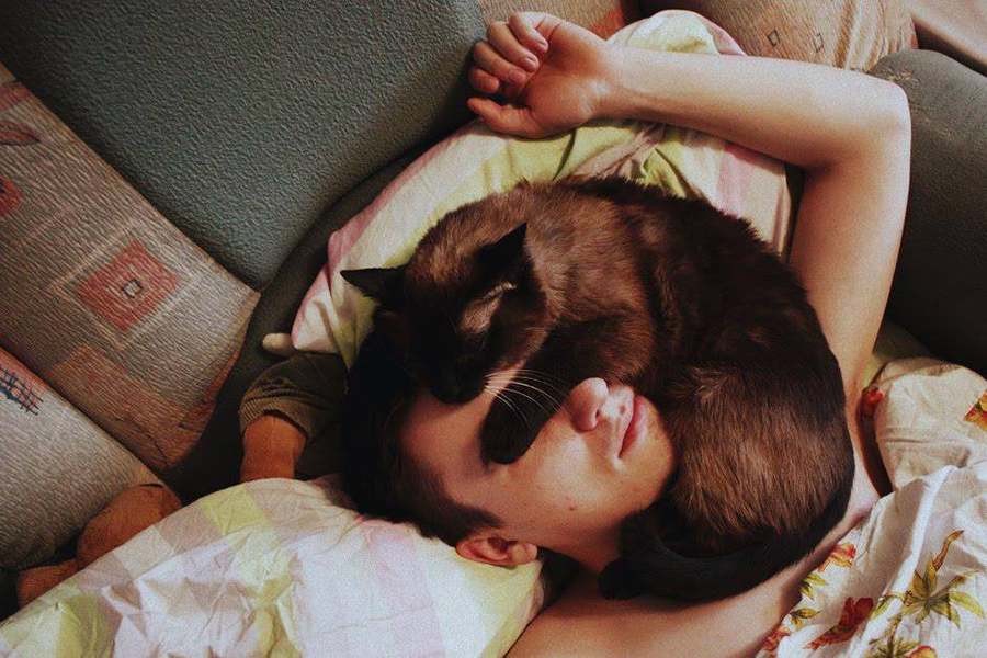 Зоологи выяснили, почему кошки любят спать на своих хозяевах