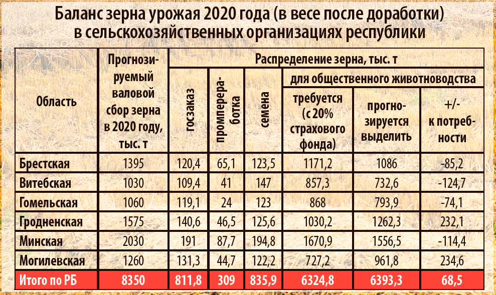 Сколько собрали урожай. Урожай.зерна в Беларуси по годам. Урожайность зерна по странам. Средняя урожайность пшеницы Беларусь. Урожай 2021 статистика.