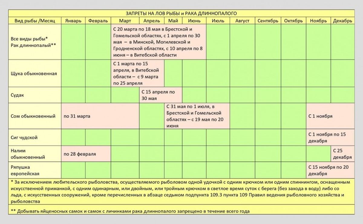 С какого числа запрещено рыбачить