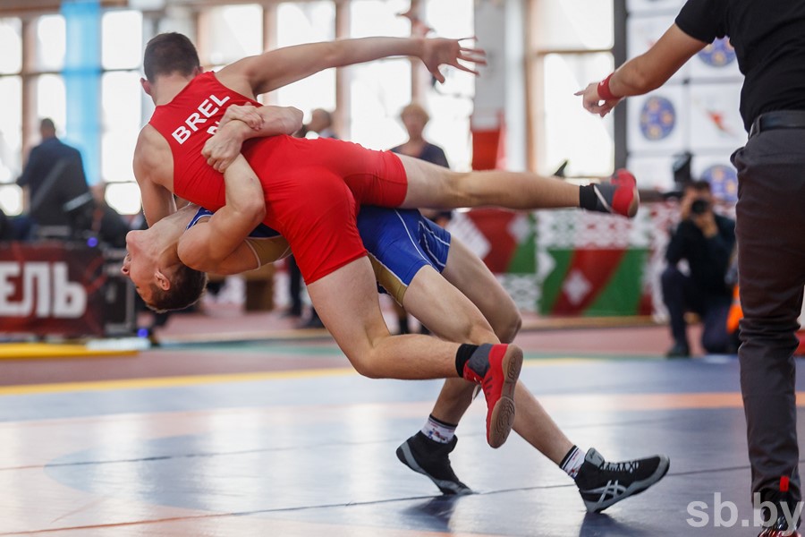 Чемпионат борьбы по вольной борьбе 2018