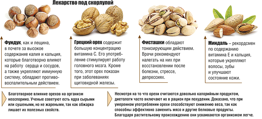 Можно грецкие орехи кормящей. Орехи с описанием. Фундук миндаль грецкий орех. Пищевая ценность лесного ореха. Полезные орехи при гв.