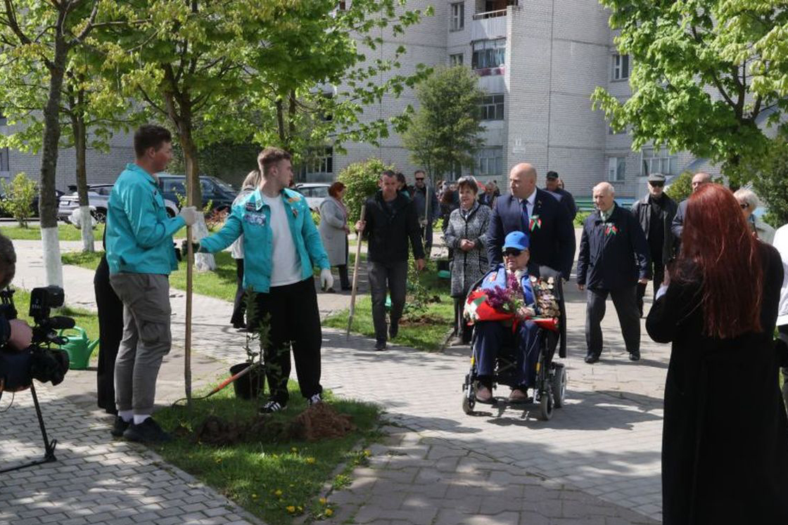 Накануне 9 Мая у Могилевского специального дома для ветеранов появилась  аллея из сирени