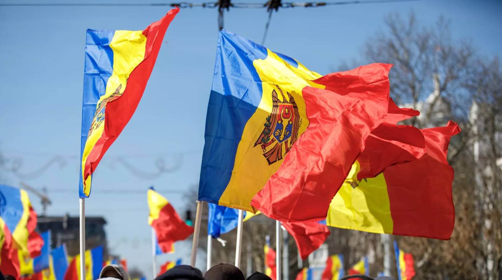 Больше половины жителей Молдавии предпочли бы видеть на посту президента нового политика