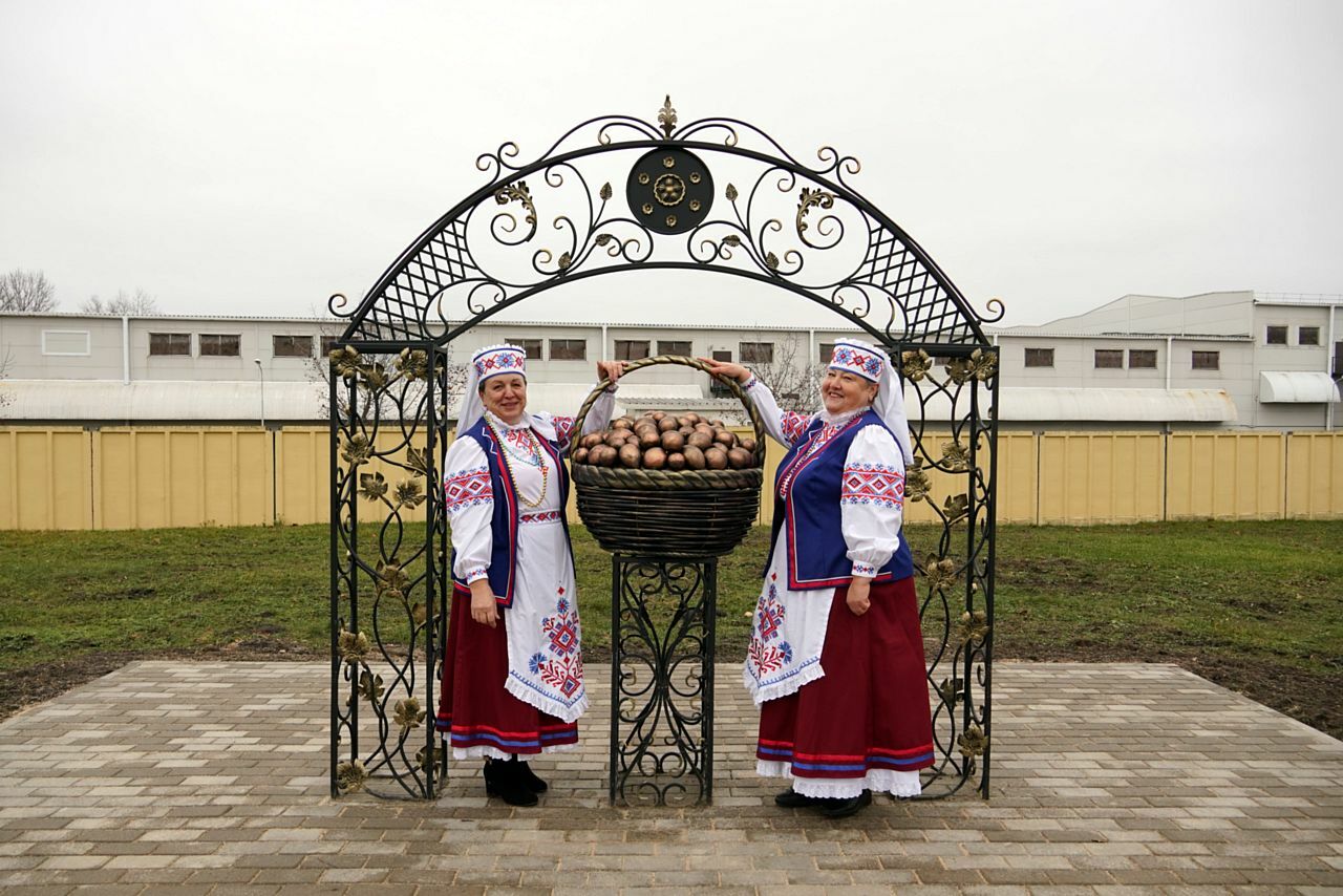 В Бобруйском районе открыли памятник картошке