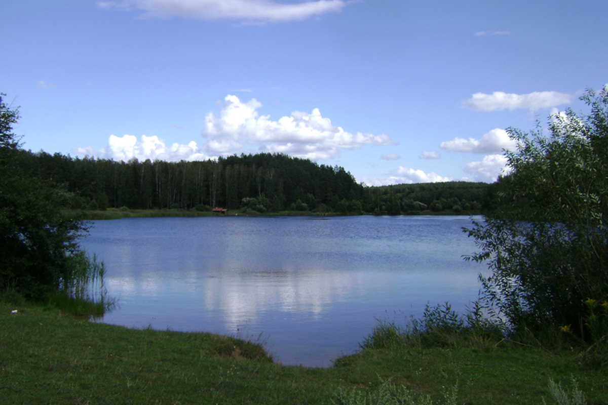 Деревня Каменка Беларусь