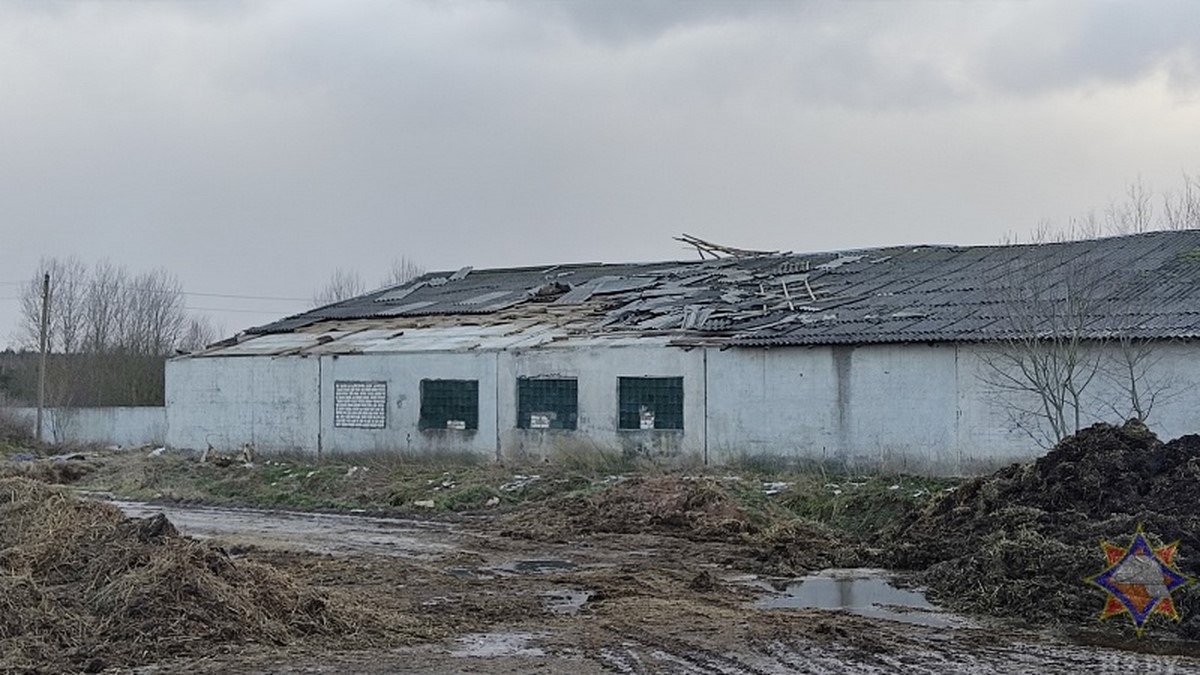 Последствия урагана в белоруссии. Ураган в Беларуси. Ураган в Беларуси 1995 года. Ураган в Беларуси сегодня. Пострадавшие от урагана в Белоруссии в 2016 году.