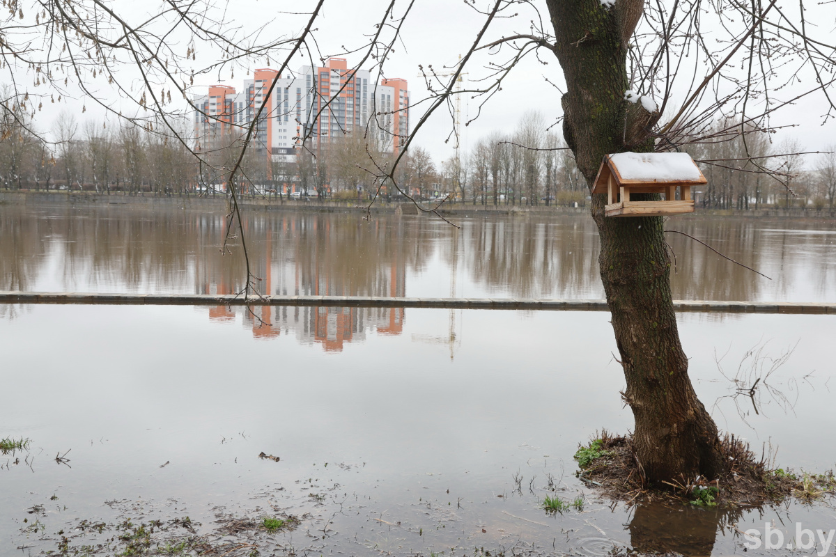 Парк подниколье в могилеве карта