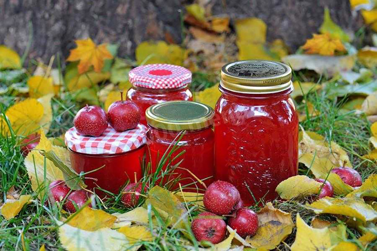 Боярышник рецепты. Варенье из боярышника. Джем из боярышника. Боярышник варенье из боярышника. Варенье из боярышника на зиму.