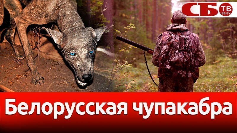 «Нерехтская чупакабра» продолжает наводить ужас на жителей города (ВИДЕО)