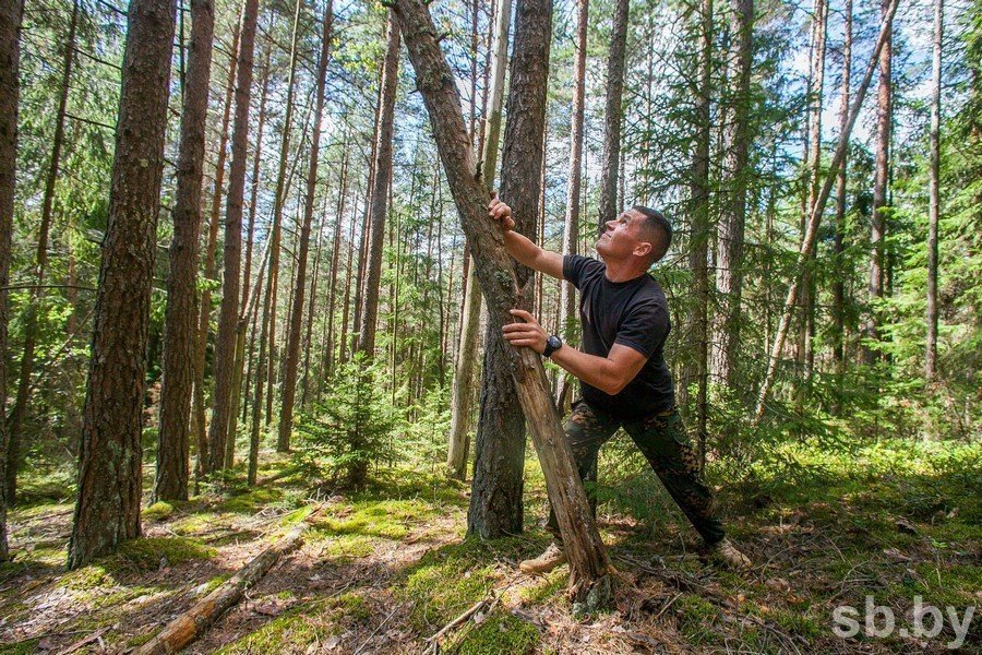 Топоры викингов, топор, сталь, старый собратель Смит, ручная работа, Открытый лагерь, уличная Гора