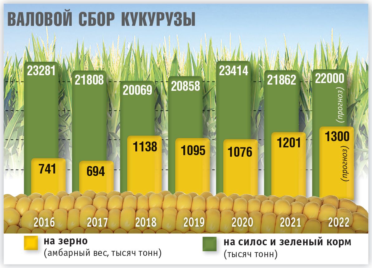 Урожайность кукурузы составляет 4 тонны. Лидеры по производству кукурузы в мире. Страны Лидеры по производству кукурузы в мире. Лидеры по производству кукурузы в 2010 году. Валовый сбор кукурузы общий.