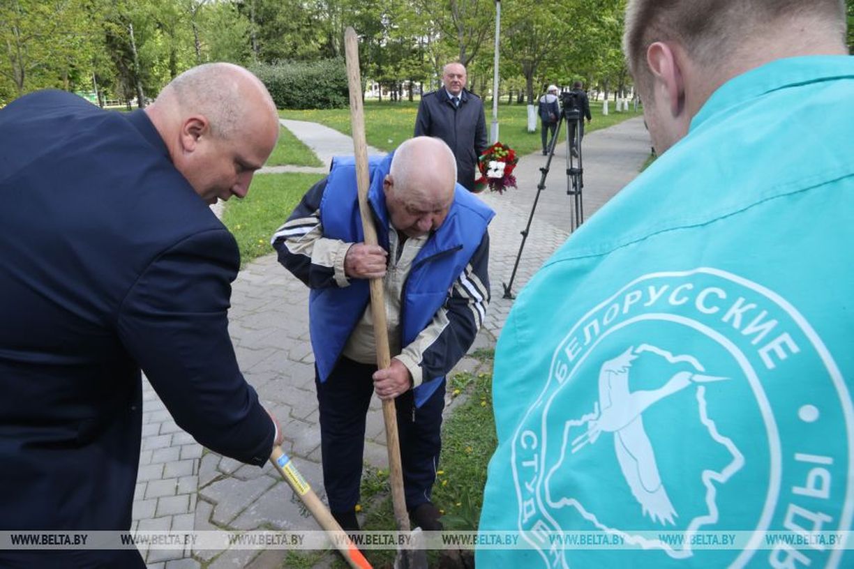 Накануне 9 Мая у Могилевского специального дома для ветеранов появилась  аллея из сирени