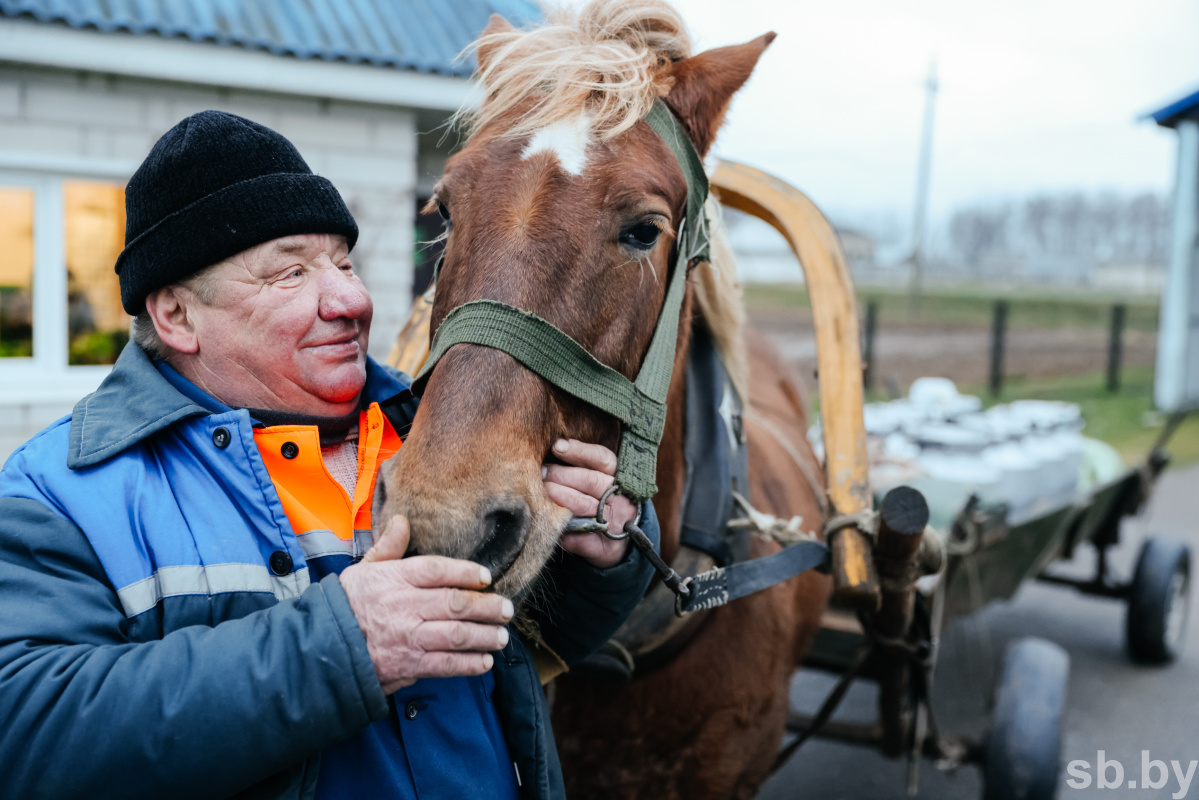 Выгодно ли держать корову презентация