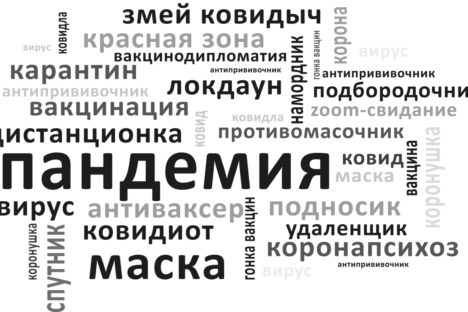 Какими новыми словами и выражениями пополнился наш лексикон за время  пандемии – спросили у филолога