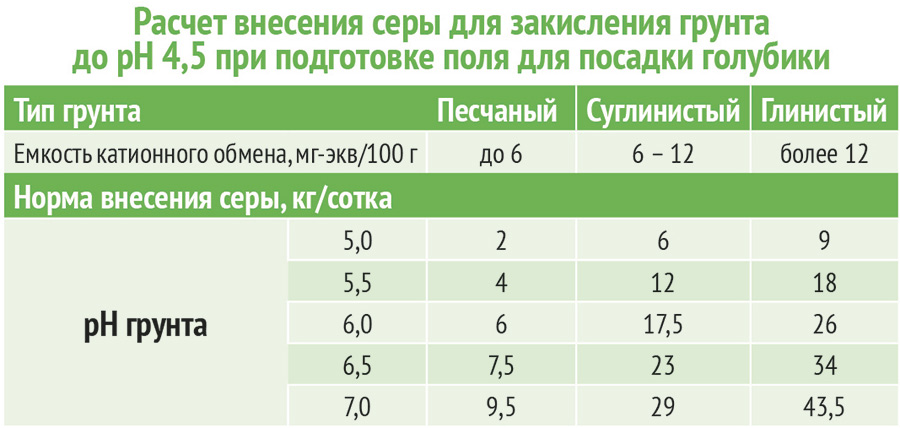 Чем подкормить голубику летом для роста. Таблица подкормок голубики. График подкормки голубики. Схема подкормки голубики. Подкормка голубики весной схема.