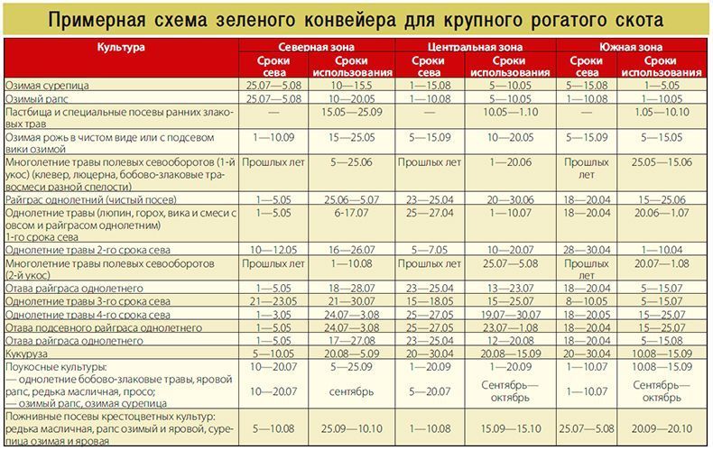 Составление схемы зеленого конвейера