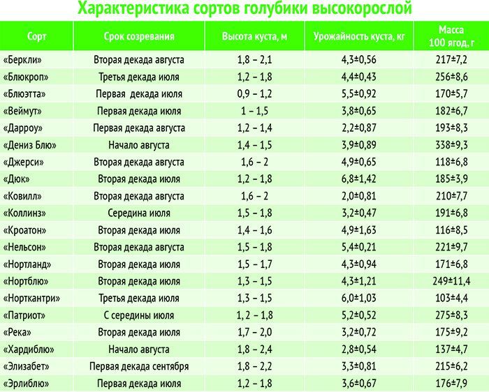 Рейтинг жимолости