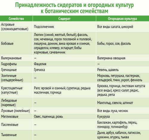 Сидераты когда сеять и когда закапывать. Таблица сидератов для овощных культур. Таблица сидератов для овощных культур таблица. Совместимость сидератов и овощных культур. Совместимость сидератов и основных культур.