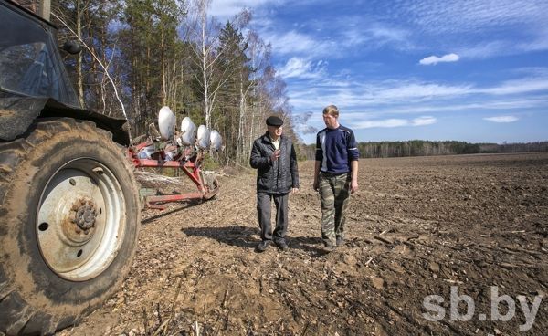 Реорганизация спк. Совхоз Заря. Заря Путино.