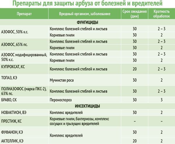 Препараты от корневой гнили. Азофос фунгицид. Фунгицид для арбузов. Болезни арбуза таблица. Срок ожидания препаратов от вредителей.