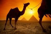  В Египте власти посчитали убытки туристической отрасли страны из-за беспорядков и народных волнений. 
Как выяснилось, трехмесячная революция обошлась в 2,27 млрд долларов, а заполняемость отелей на популярных у туристов курортах Шарм-эль-Шейх и Хургада 