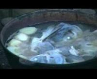 Главное рыбацкое блюдо смогут отведать могилевчане на Рождество в Печерском лесопарке