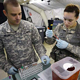 Пентагон научится диагностировать контузию по анализу крови