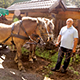Development of farm tourism will help Belarus breathe new life into unpromising villages