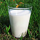 На белорусских фермах снижается производство молока