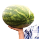 Rechitsa farmer Victor Zalessky celebrates ten years of growing his own watermelons