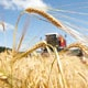 Как сделать земледелие в Беларуси более эффективным