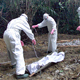 От лихорадки Эбола погибли уже 4000 человек