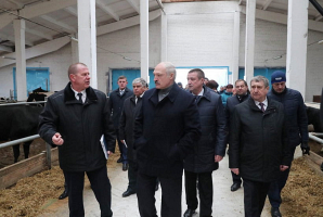 Так дело не пойдет! Подробности жестких кадровых решений Лукашенко в Могилевской области