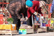 В Минске провели рейд по выявлению точек торговли первоцветами