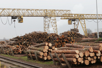 Производство древесного топлива позволит не только зарабатывать, но и навести должный порядок в лесу